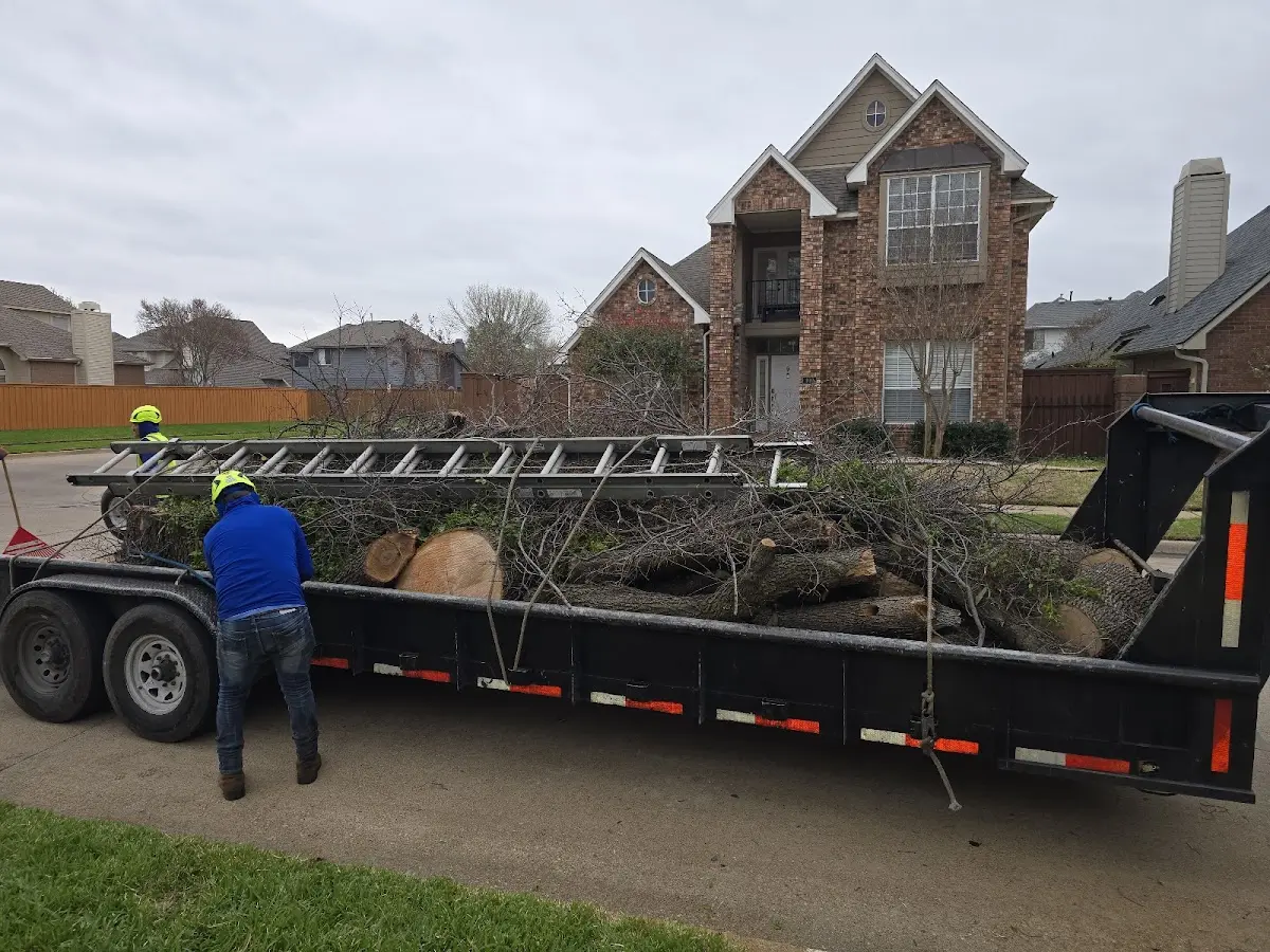 Expert Tree Pest Control with proper safety equipment in Saint Helen